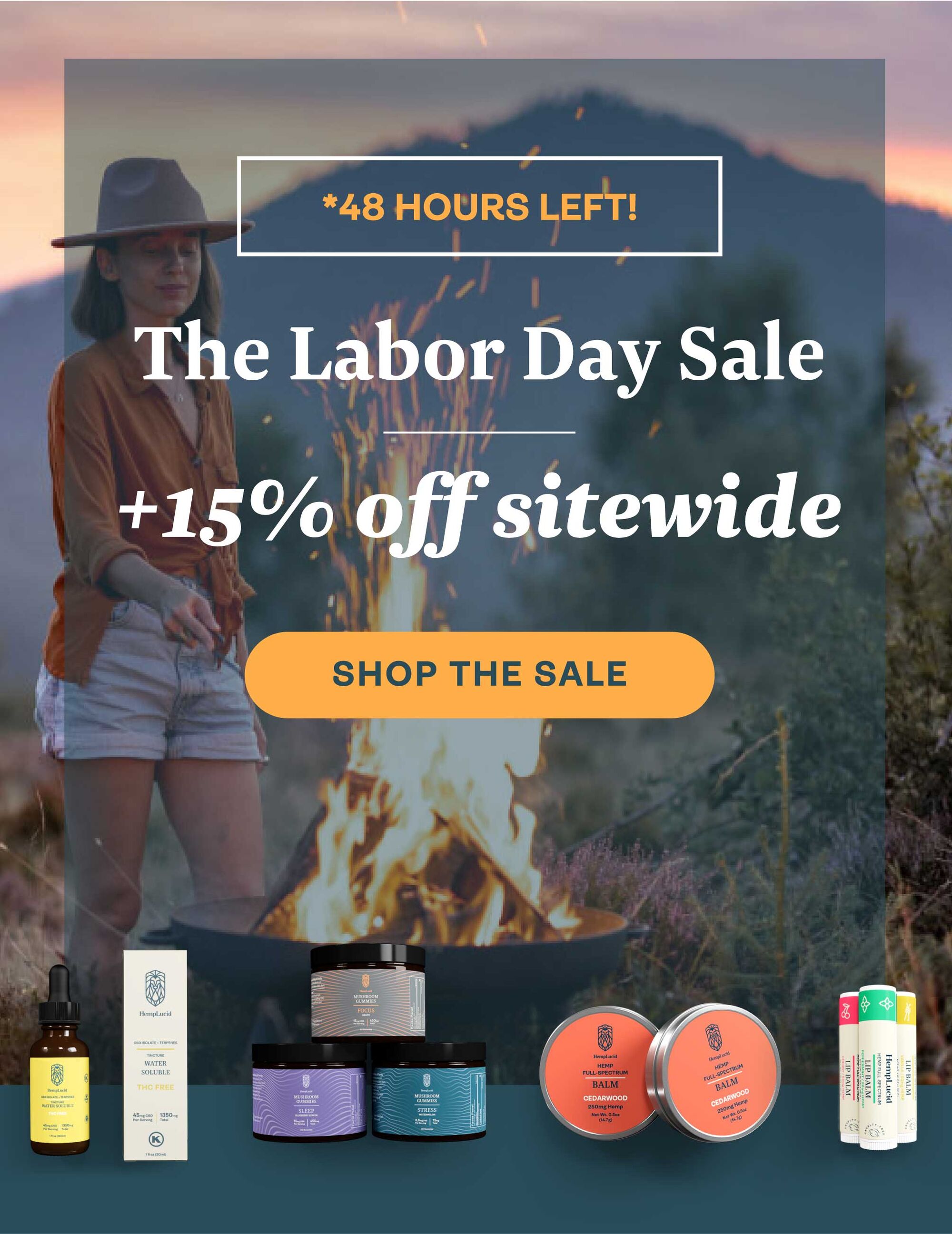 Labor Day Sale