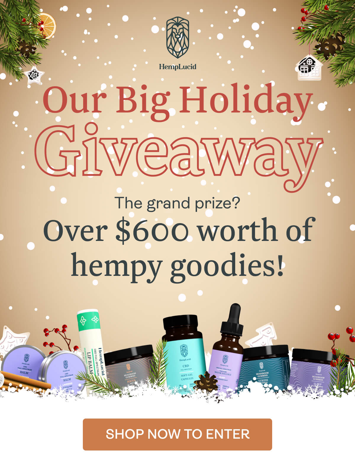 Our Big Holiday Giveaway