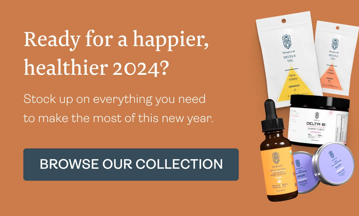 Ready for a happier, healthier 2024? Stock up on everything you need to make the most of this new year.